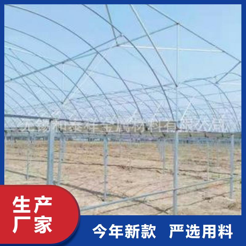 大棚管椭圆管温室大棚可接急单