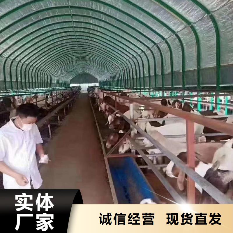 大棚管, 大棚管厂家规格全