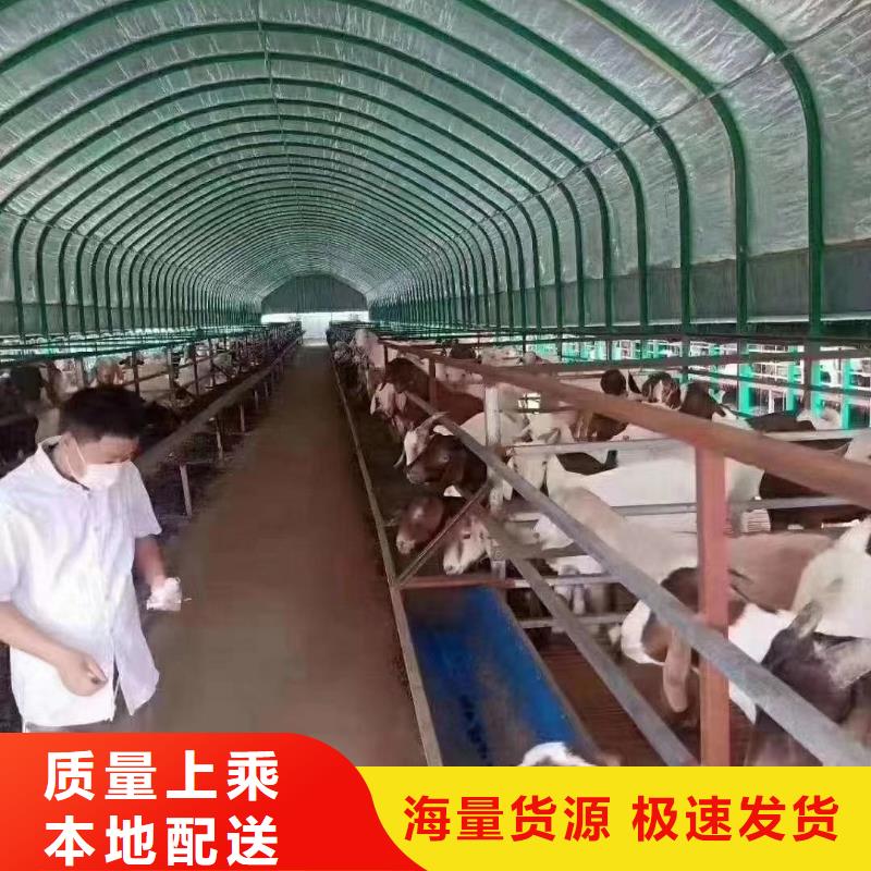 大棚管 蔬菜温室大棚管设备齐全支持定制