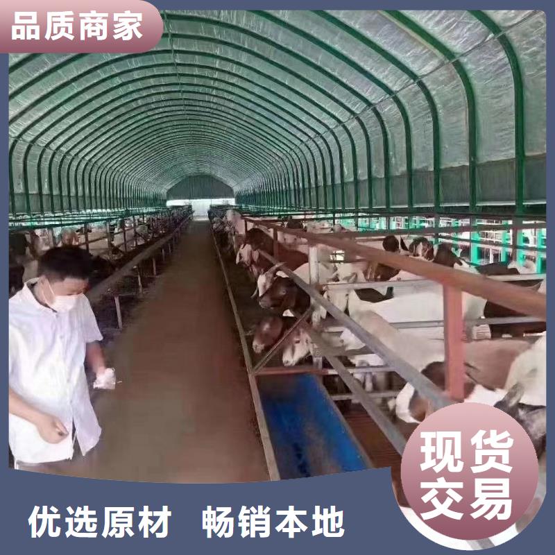 大棚管农业养殖大棚管用品质赢得客户信赖