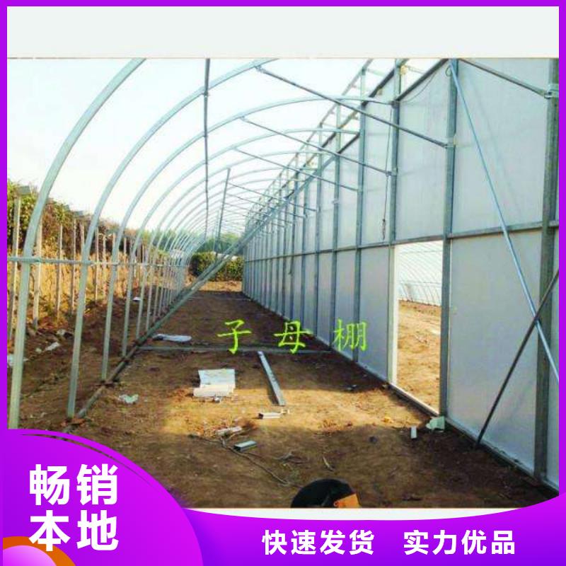 大棚管蔬菜温室大棚管现货采购