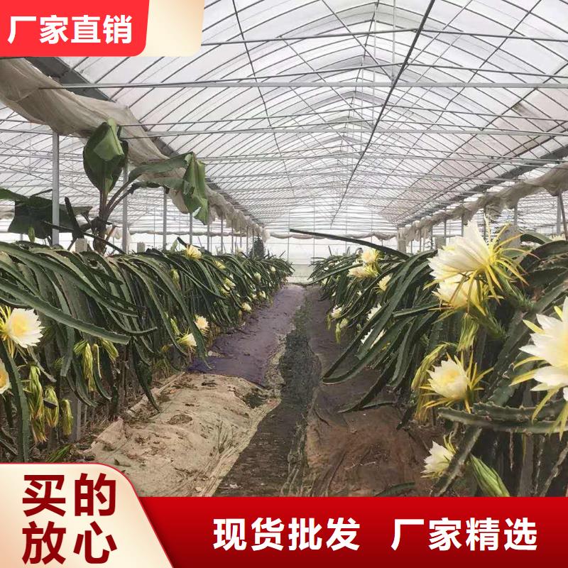 大棚管, 大棚管厂家规格全