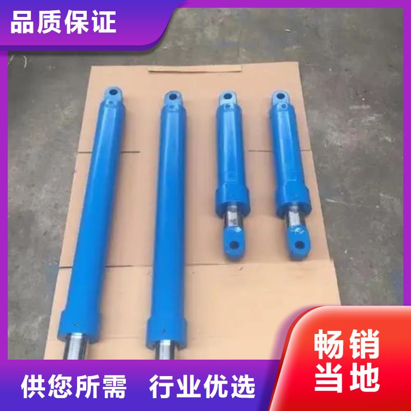 油缸【传菜电梯厂家】售后无忧-迈丁智能科技(果洛市分公司)|覆盖地域海东|海北|西宁|海西|海南