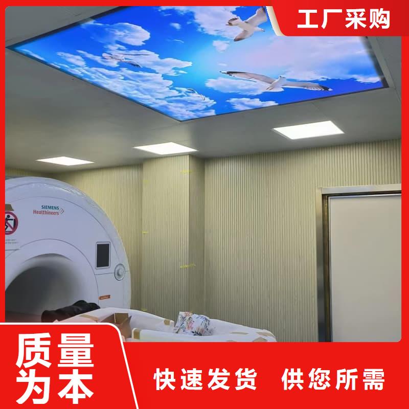 电动防护铅门批发定制