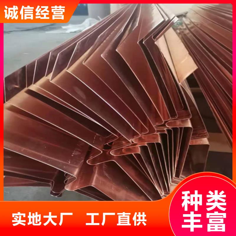 【铜排铜片】凸结点钢塑土工格栅实力优品