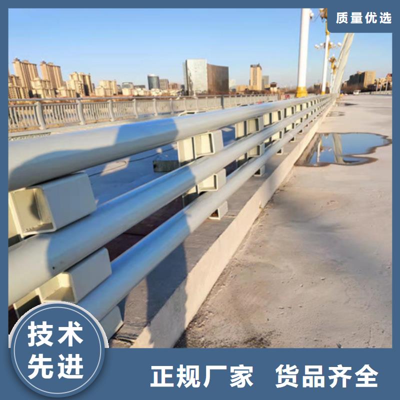 防撞护栏人行道护栏 厂家经验丰富