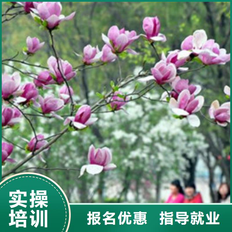 单招培训正规培训