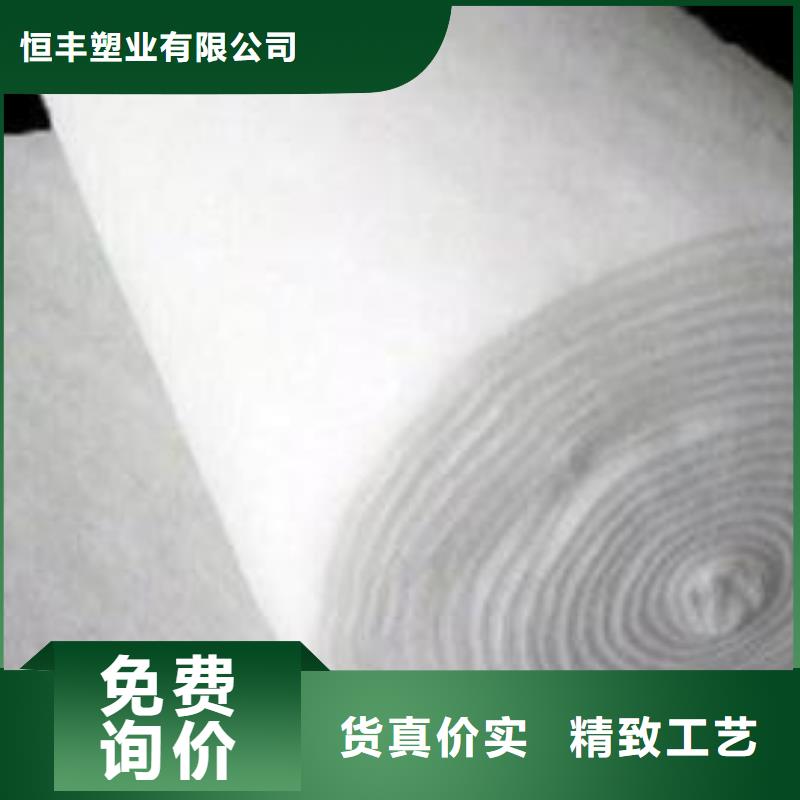 土工布 【复合土工膜】定制零售批发-恒丰塑业(鹤壁市分公司)|覆盖地域山城|淇县|周口|信阳|平顶山|驻马店