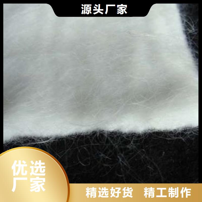 双向塑料土工格栅视频-吉林省四平市|双辽|梨树|吉林|延边|辽源|长春|通化双向塑料土工格栅-恒丰