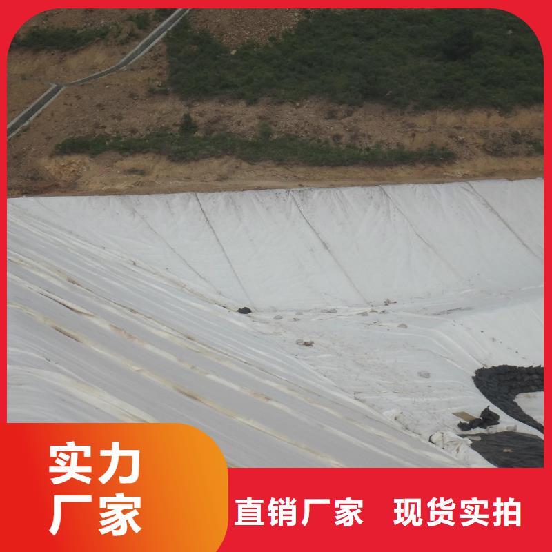 【土工布】PP焊接土工格栅厂家直销直供