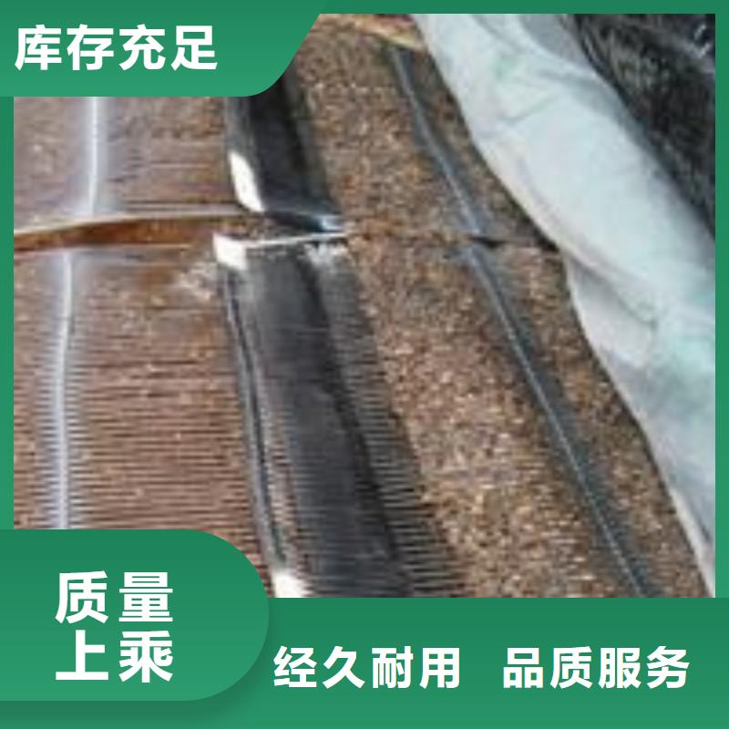 【单向塑料土工格栅】玻纤土工格栅厂家直销放心