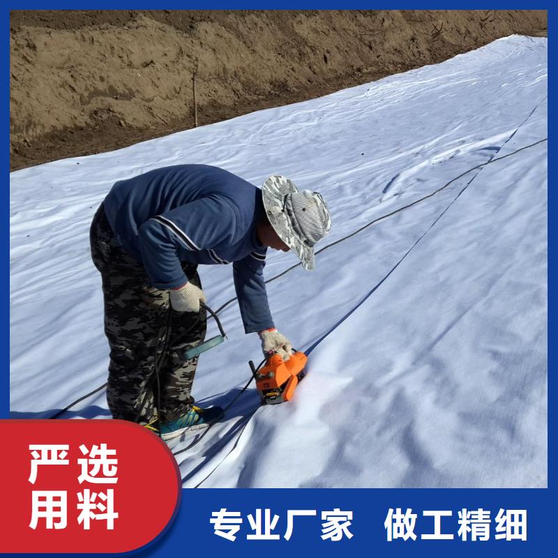 复合土工膜【三维植被网】质检合格出厂