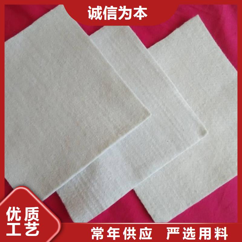 复合土工膜PP焊接土工格栅现货