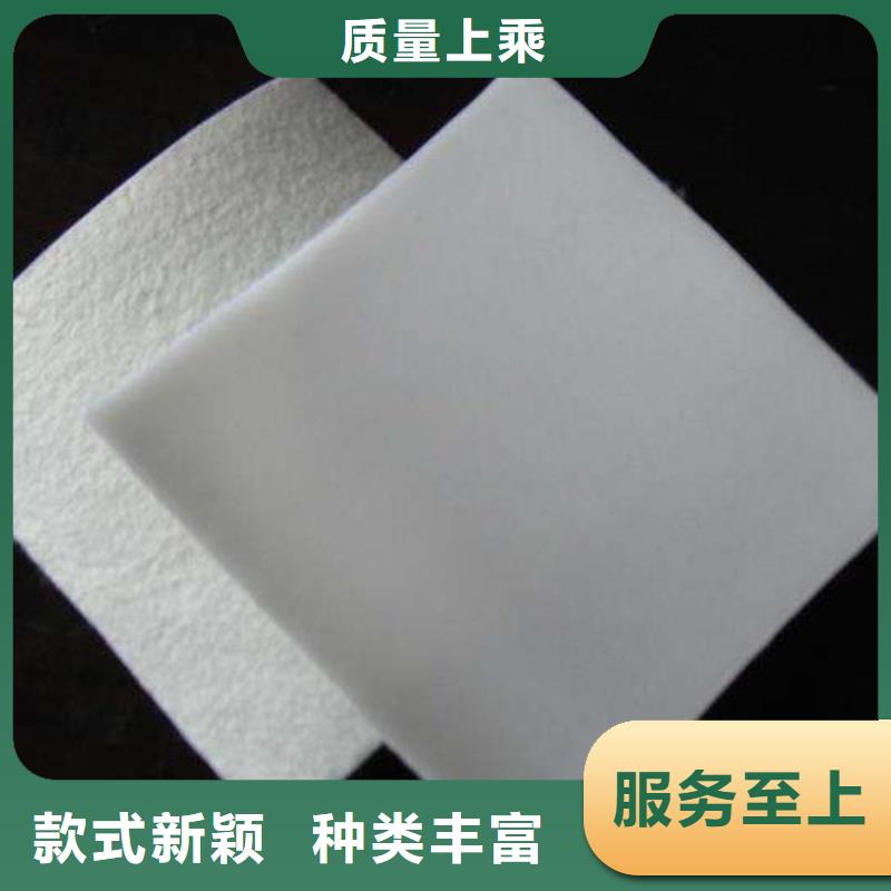复合土工膜PP焊接土工格栅现货