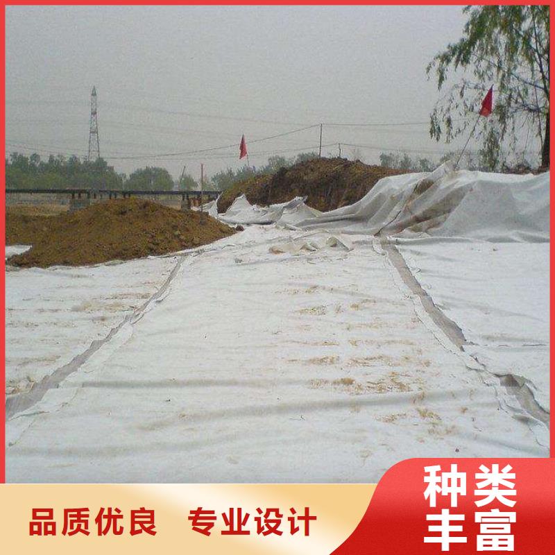 复合土工膜双向塑料土工格栅厂家案例