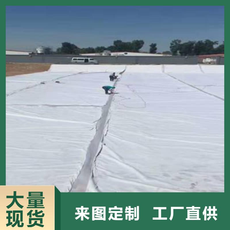 复合土工膜【护坡土工网】源头直供