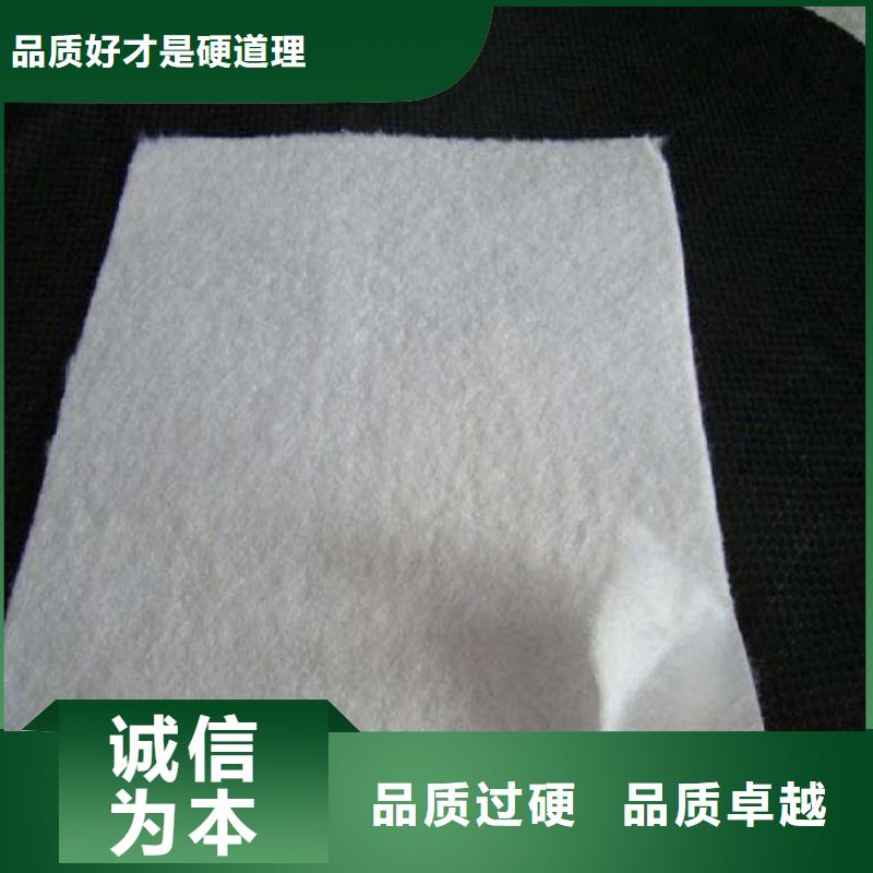 复合土工膜双向塑料土工格栅厂家案例