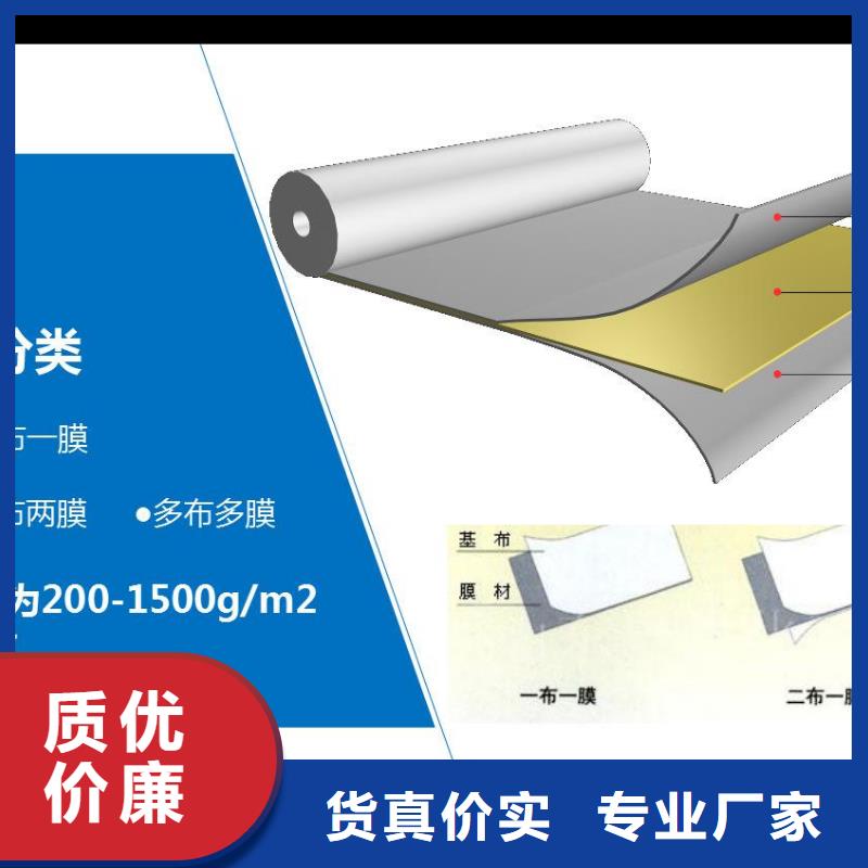 复合土工膜源头厂家供应