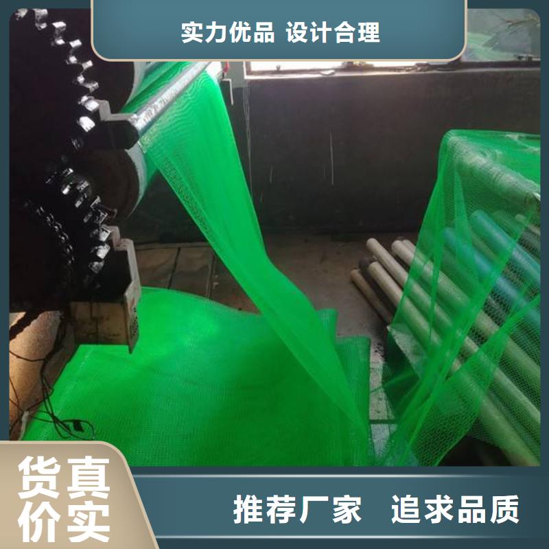 三维植被网【聚乙烯土工膜】同行低价