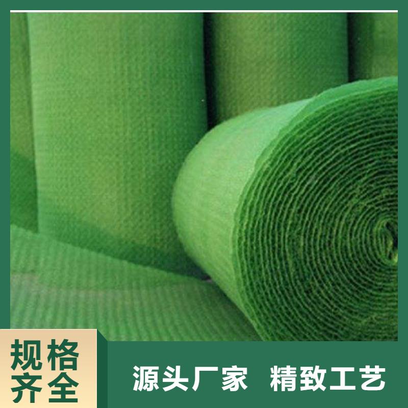 三维植被网保温土工布设备齐全支持定制