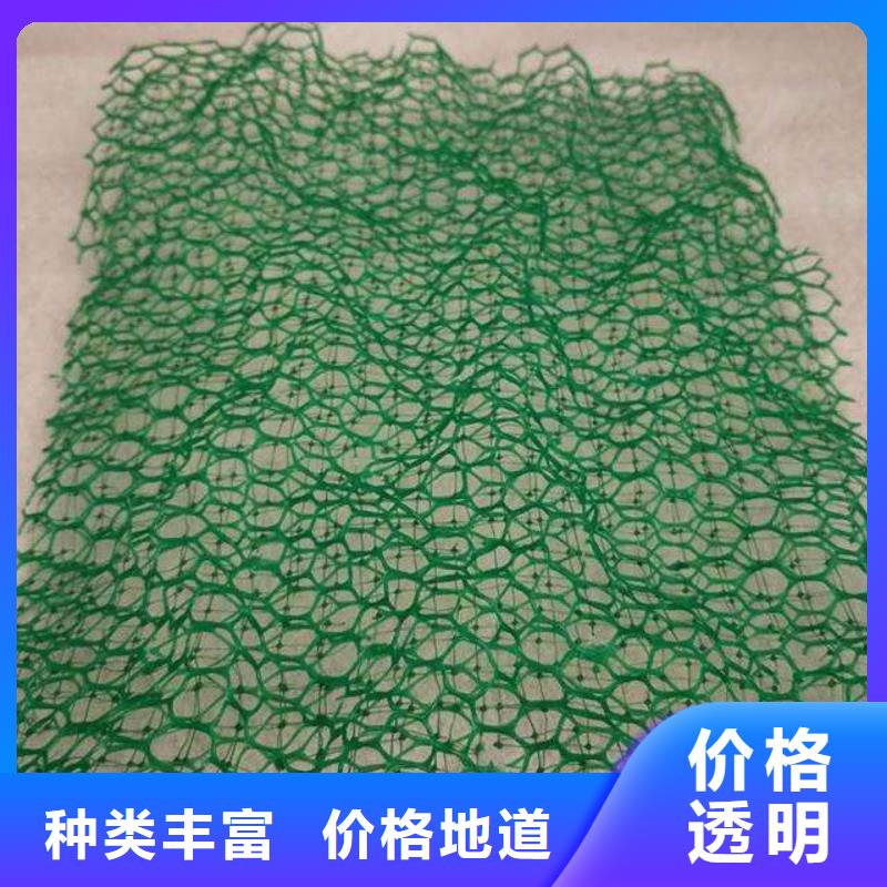 三维植被网短丝土工布源厂直接供货