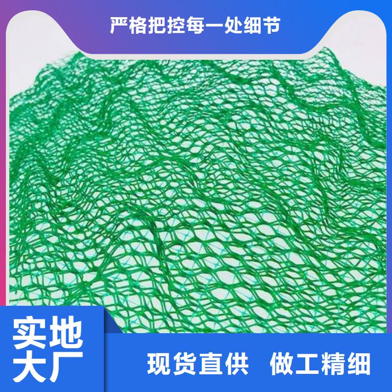 三维植被网无纺布发货及时