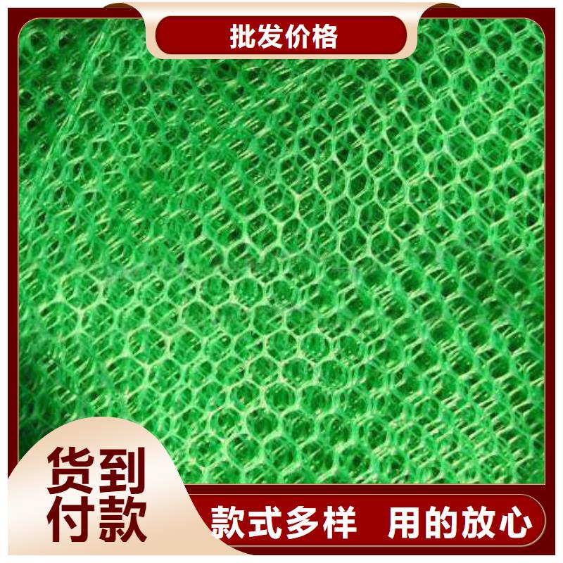 三维植被网双向拉伸塑料格栅优选货源