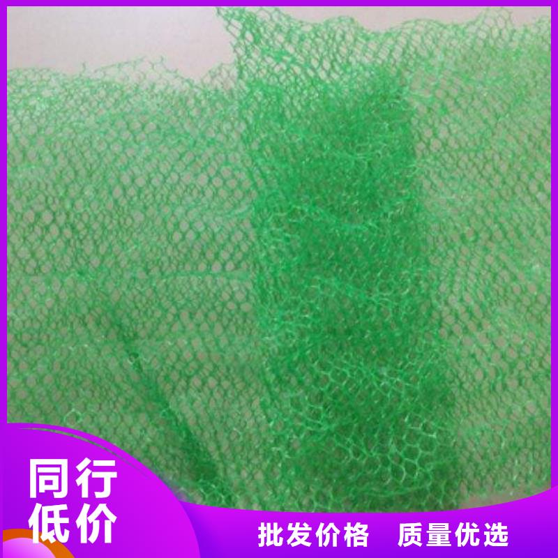 三维植被网双向拉伸塑料格栅优选货源