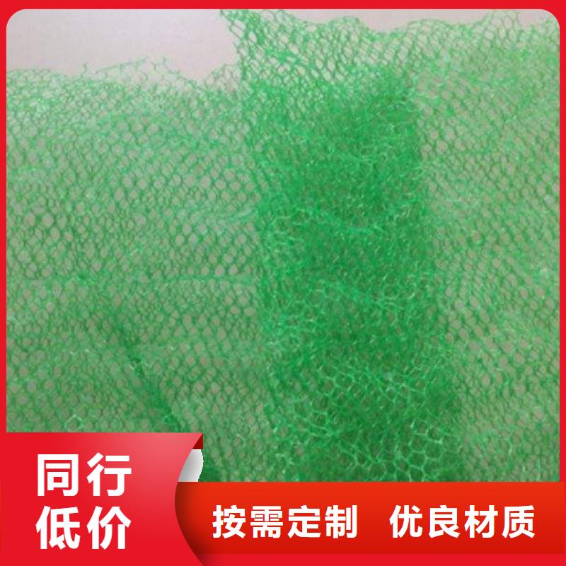 三维植被网_PVC防水卷材诚信经营质量保证