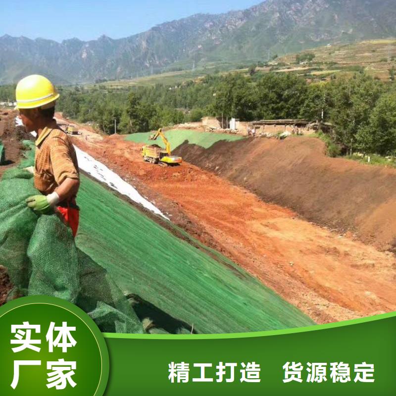 三维植被网长丝土工布厂家直销