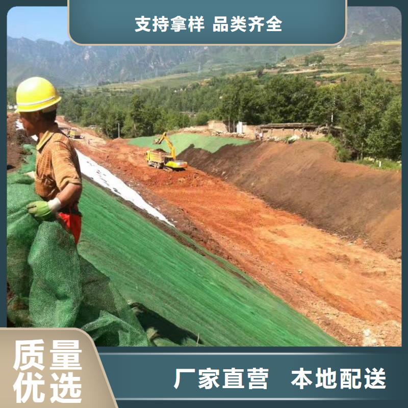 恒丰双向塑料土工格栅【 三维植被网-毛细排水板多年行业经验】