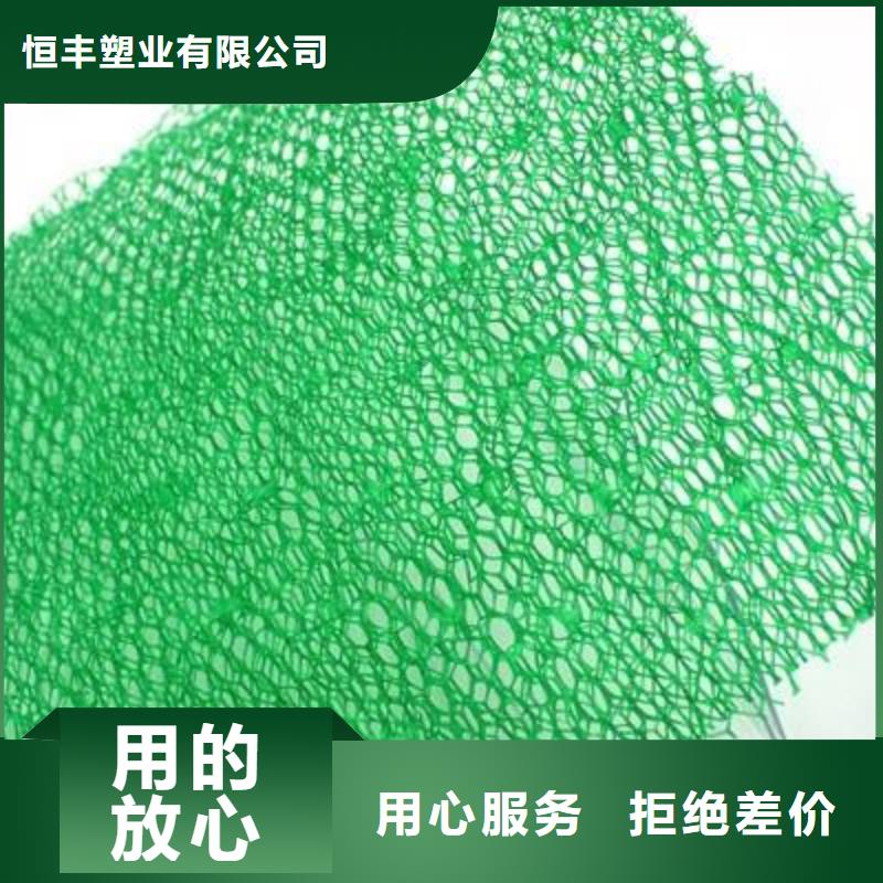 【三维植被网土工格室细节严格凸显品质】