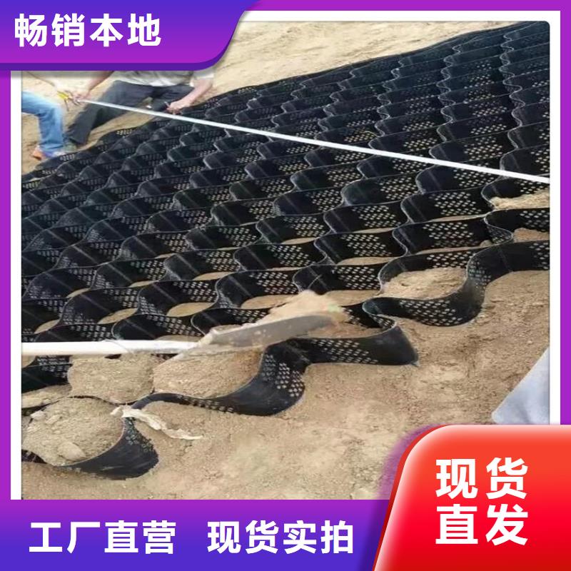 土工格室【涤纶土工格栅】拒绝伪劣产品