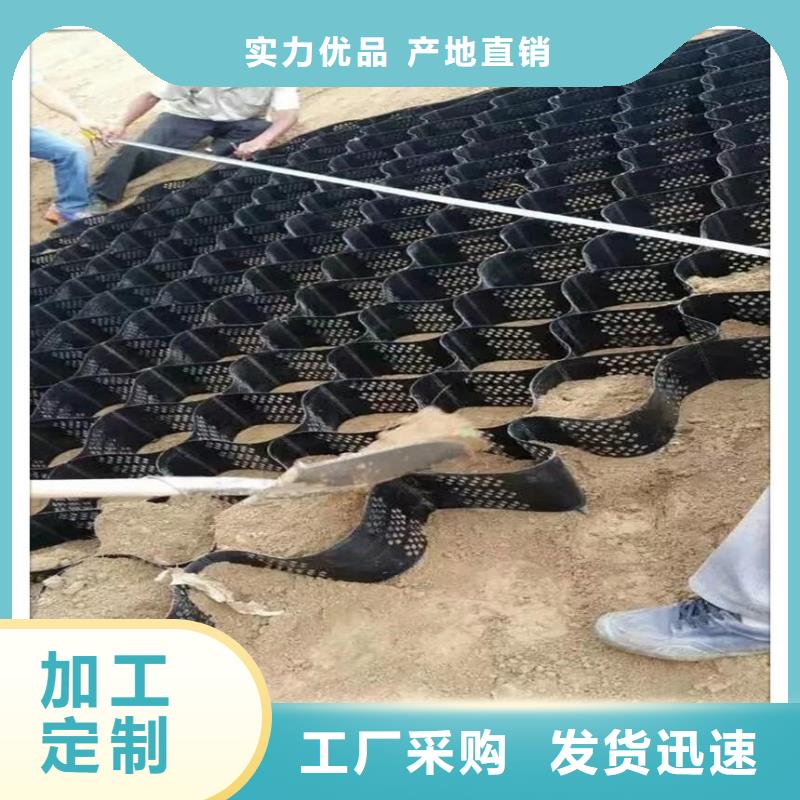 【土工格室PVC防水卷材专业厂家】