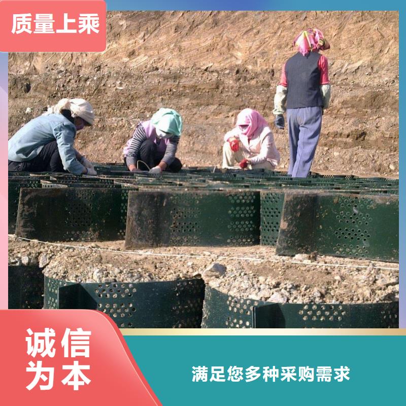 土工格室_单向塑料土工格栅源头厂家量大价优