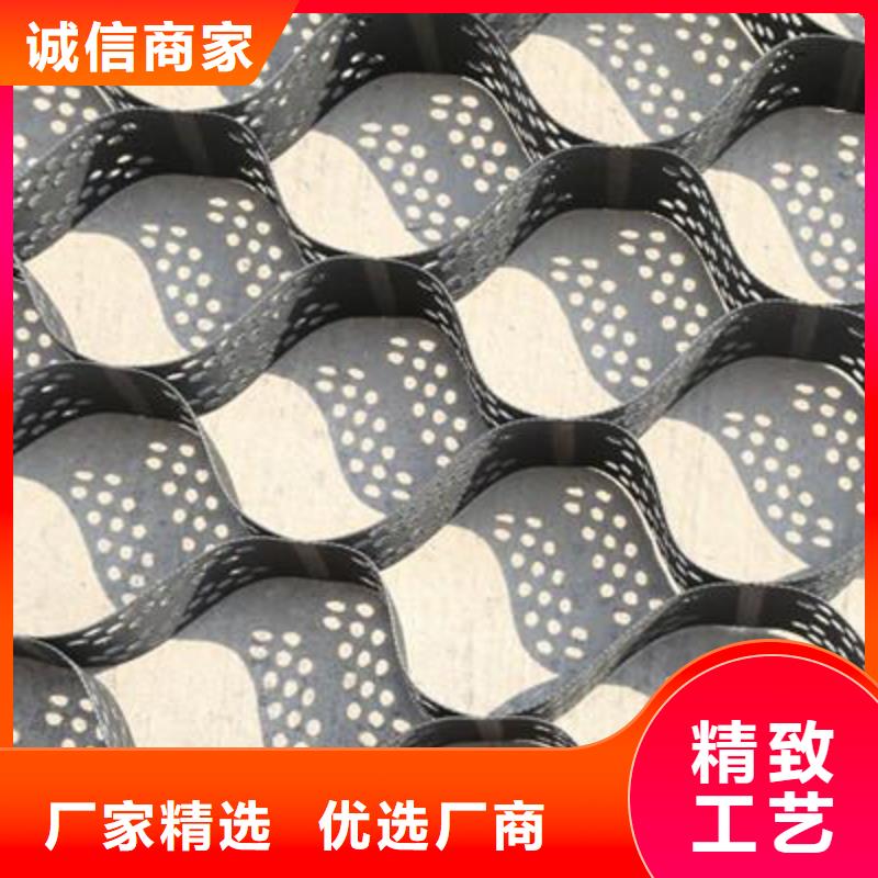 土工格室三维土工网垫通过检测