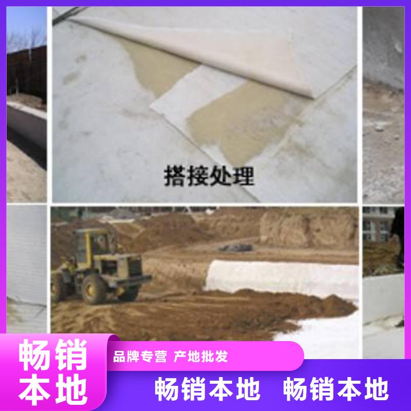 【膨润土防水毯】-双向塑料土工格栅信誉至上