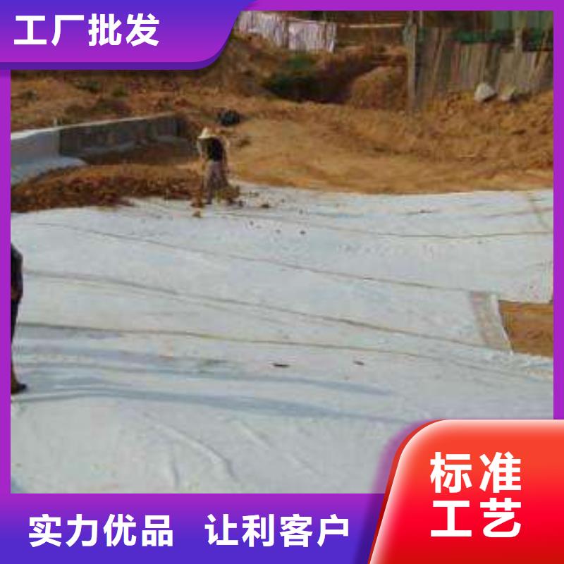 【膨润土防水毯双向塑料土工格栅加工定制】