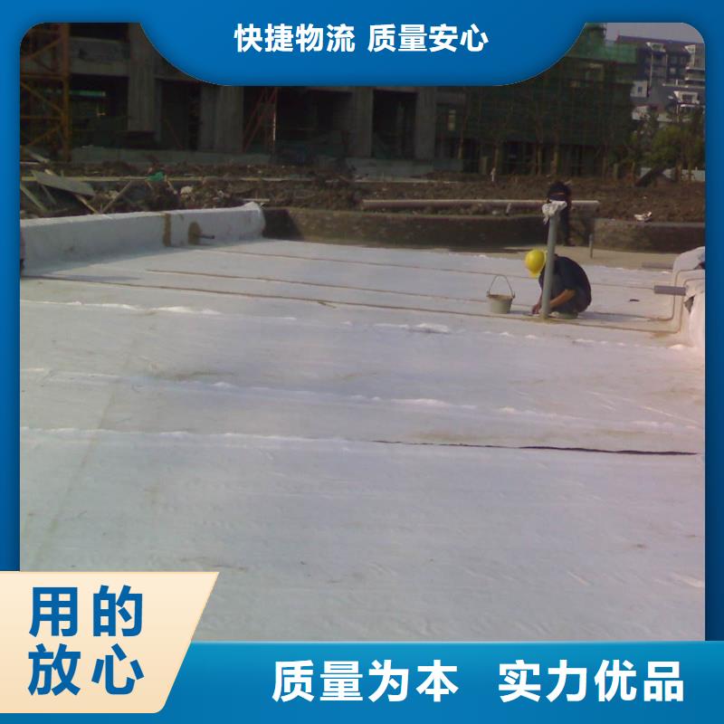 膨润土防水毯-复合土工膜厂家型号齐全