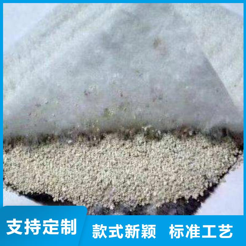 膨润土防水毯_防渗复合土工膜匠心打造