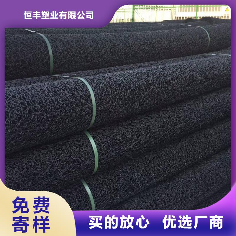 【塑料盲沟】-三维植被网现货齐全售后无忧-恒丰塑业(云浮市分公司)