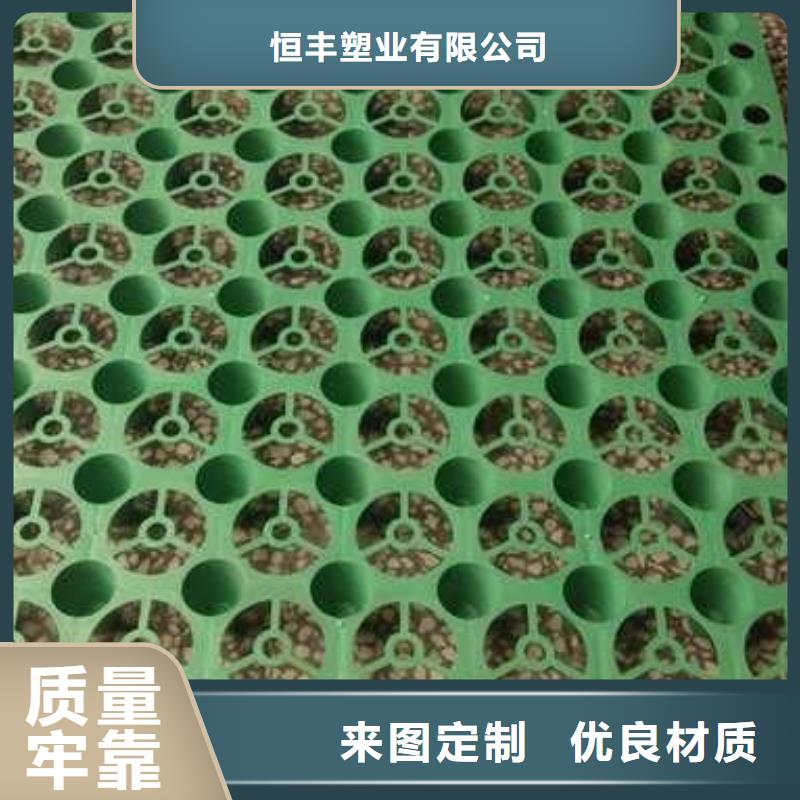 排水板三维土工网垫生产型