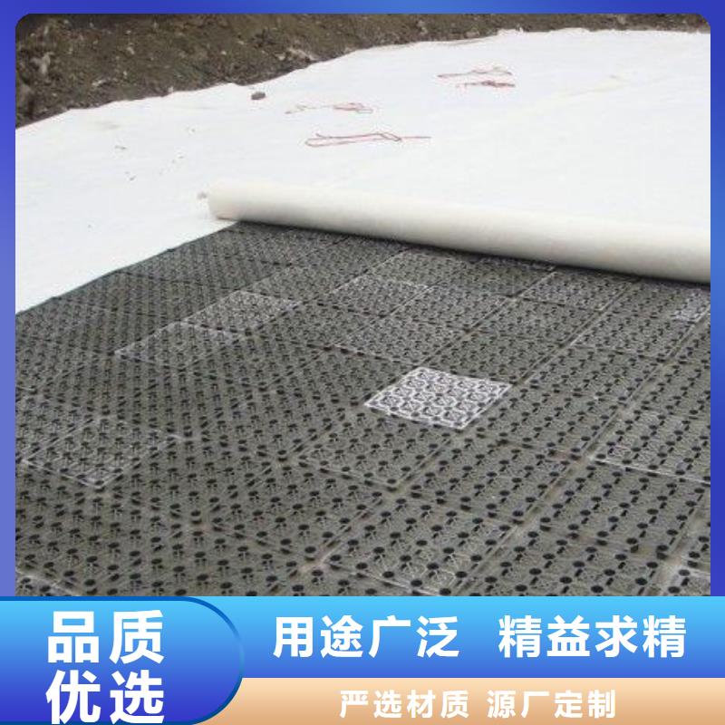排水板三维土工网垫生产型
