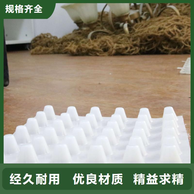 排水板三维土工网垫订购