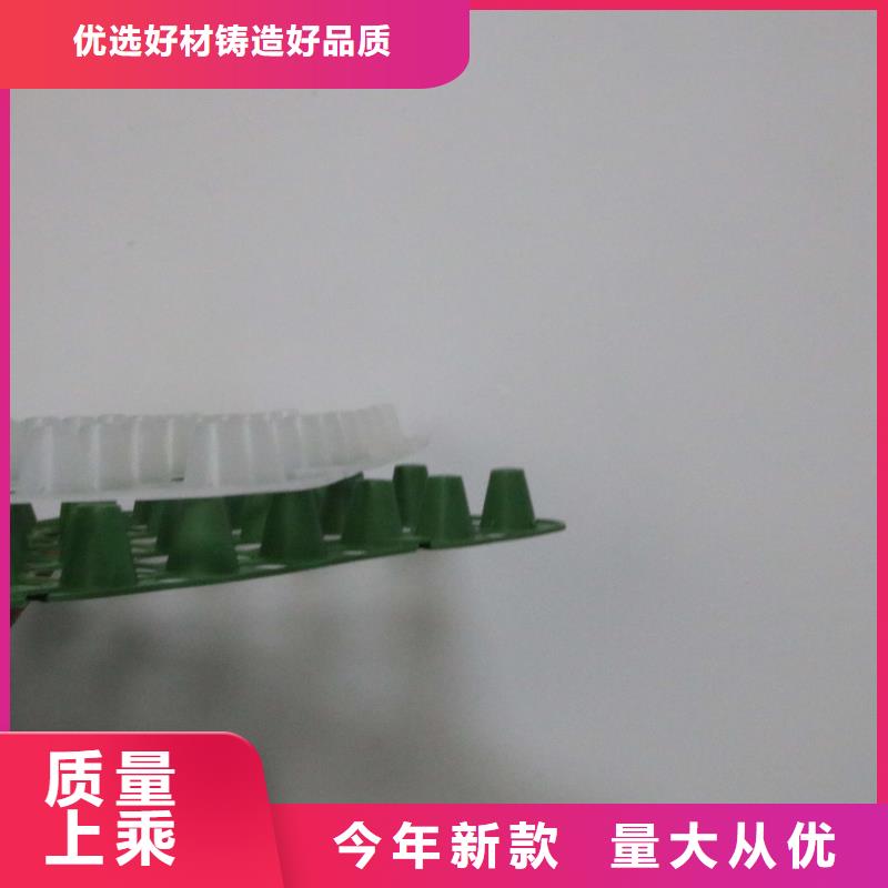 排水板hdpe复合膜工厂直销