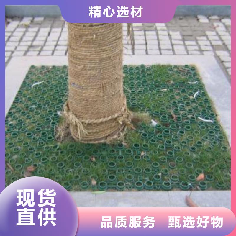 【植草格】PVC防水卷材优良材质