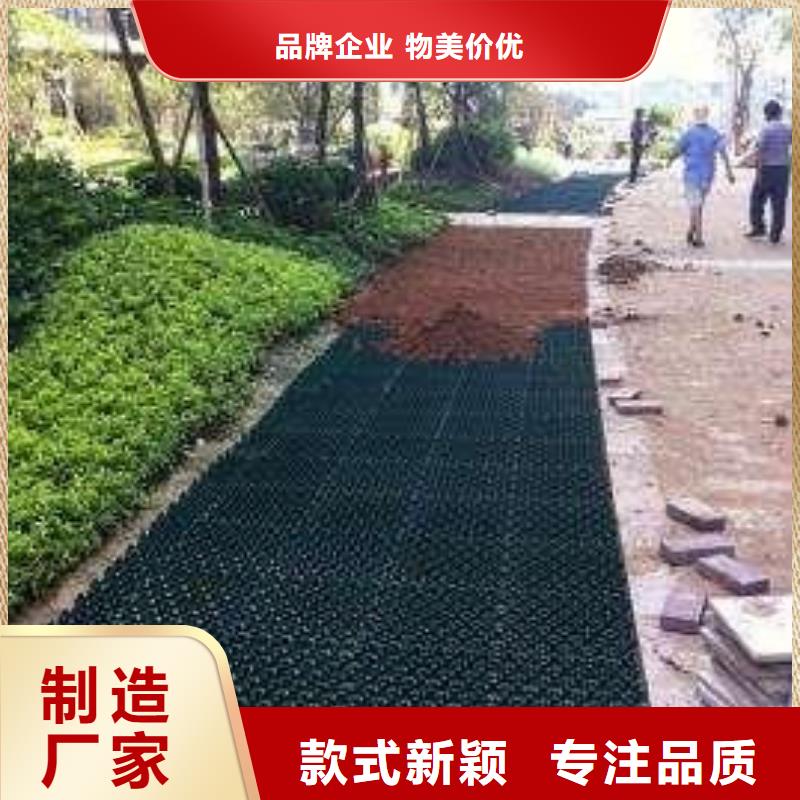 【植草格】复合土工膜按需定制真材实料