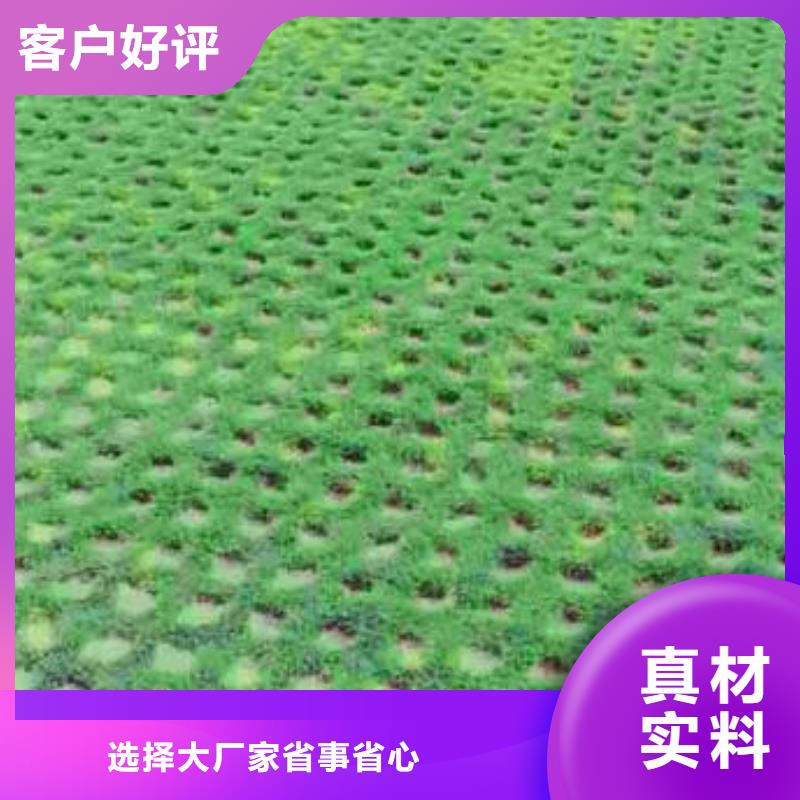 【植草格】三维植被网安心购