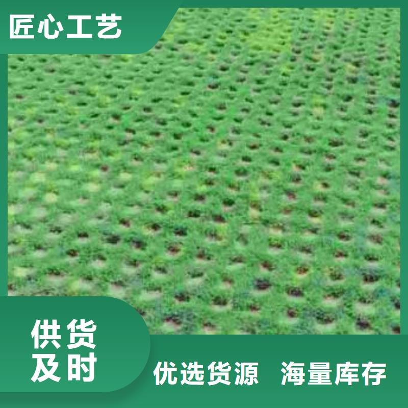 植草格-复合土工膜实力厂家直销