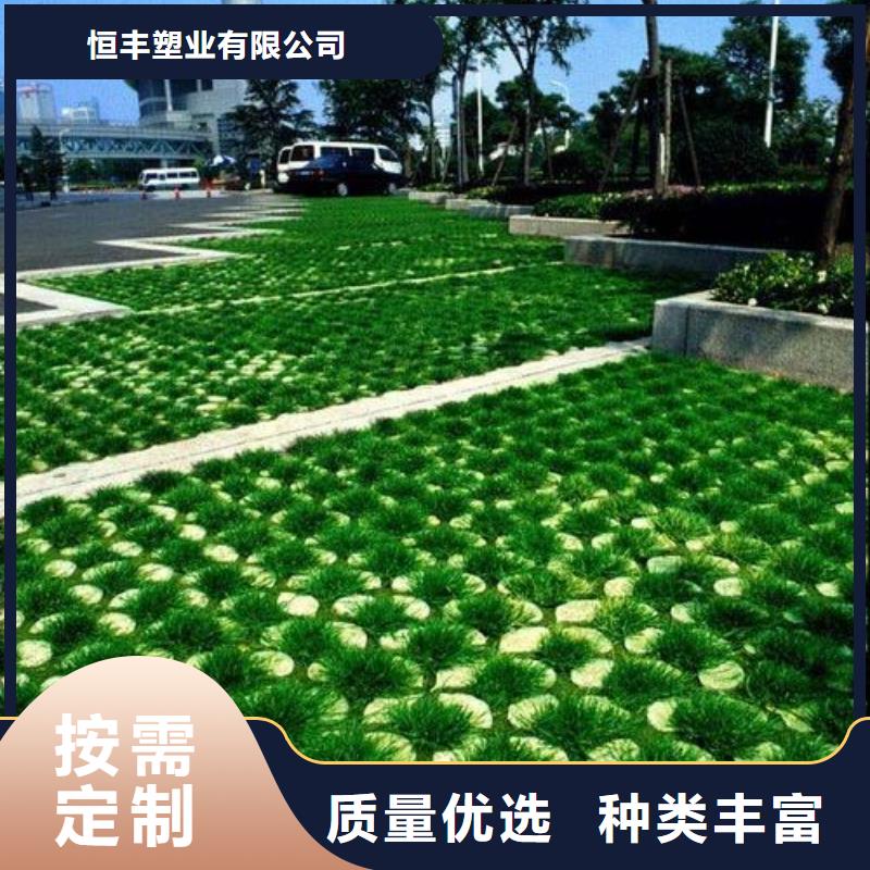 植草格【三维复合排水网】欢迎来电咨询